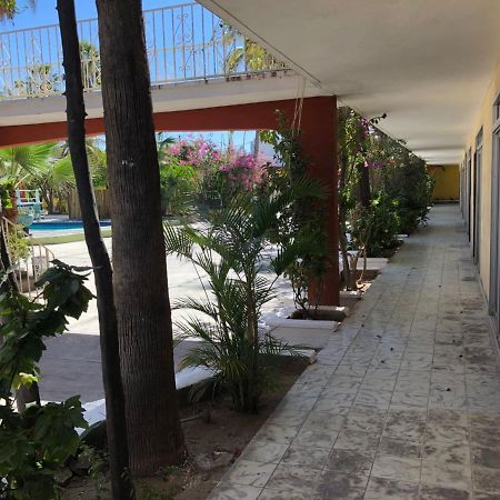 Hotel Calafia La Paz Extérieur photo