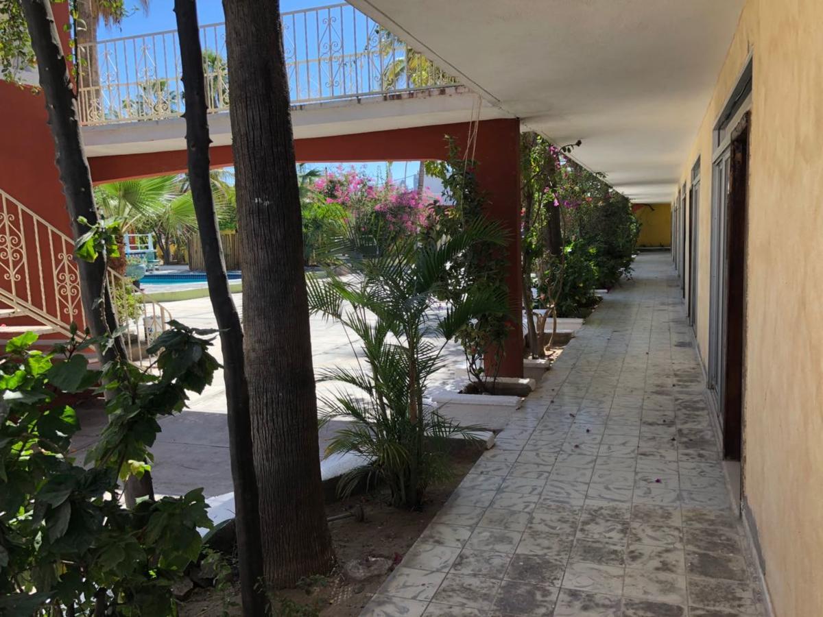 Hotel Calafia La Paz Extérieur photo